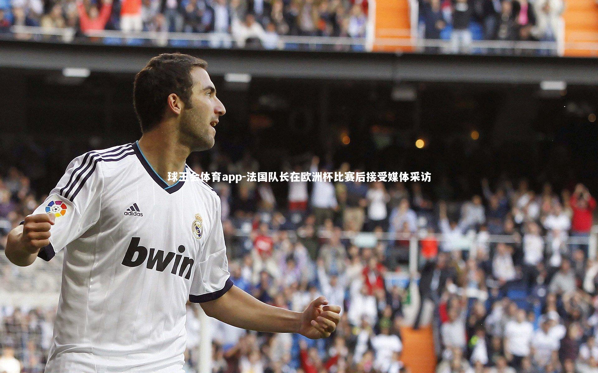 法国队长在欧洲杯比赛后接受媒体采访